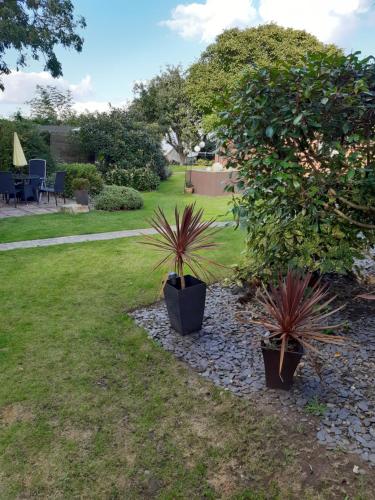 two potted plants sitting on a stone path in a yard at The White Dove Bed and Breakfast with Glamping Newark showground in Newark-on-Trent