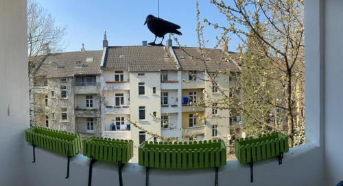 Eine schwarze Katze, die auf einem Gebäude sitzt. in der Unterkunft Alles was man braucht, 1-Zimmer Wohnung in Dortmund