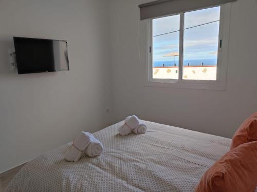 um quarto com uma cama e vista para a praia em CASA PIRÁMIDE 3. Terraza WiFi y Parking Privado em Icod de los Vinos