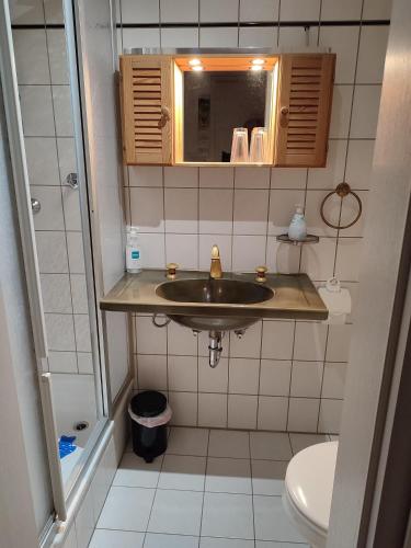 a bathroom with a sink and a toilet at B und E Röck in Meckenbeuren