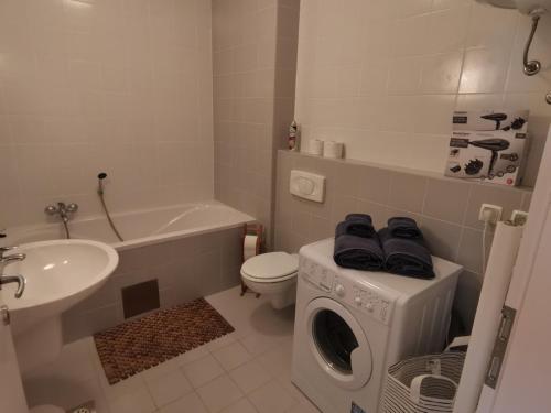 a bathroom with a washing machine and a sink at Apartma Rožmarin Bohinj in Bohinj
