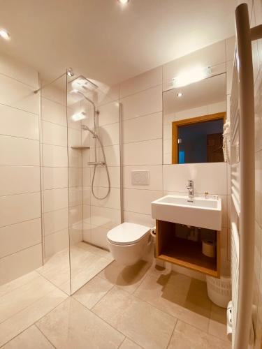 a bathroom with a toilet and a sink and a shower at Der Brückenhof Ramsau in Ramsau am Dachstein