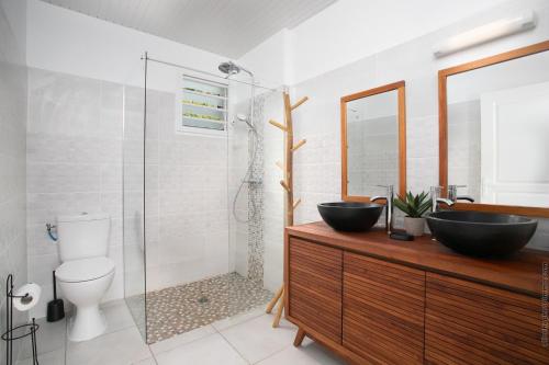 ein Bad mit einem Waschbecken, einem WC und einer Dusche in der Unterkunft Villa Kaliemma in Le Marin