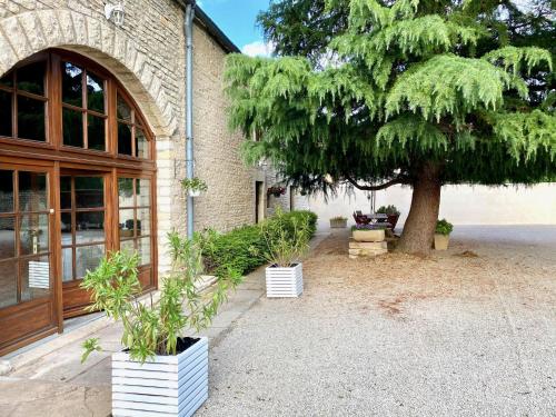 a tree in front of a building with potted plants at Maison Belles Pierres in Montagny-lès-Beaune