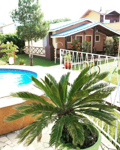 a palm tree in a pot next to a house at Pousada Villa Da Montanha in São Bento do Sapucaí