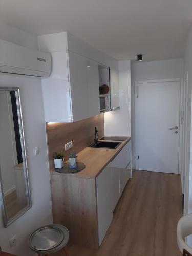 A kitchen or kitchenette at Apartments Basioli