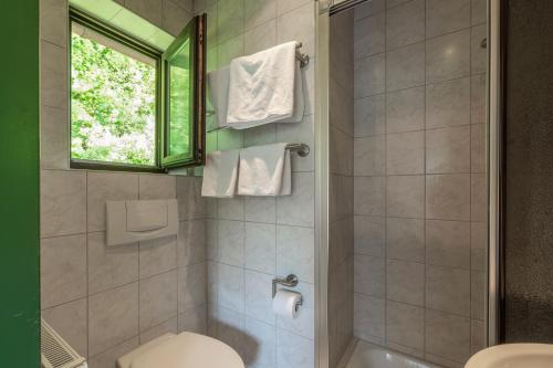 a bathroom with a shower with a toilet and a window at Café Pension Leistner in Obertrubach