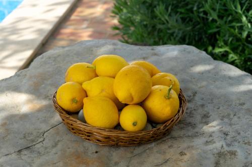 a basket of oranges and lemons on a rock at Casa Vitória in São Brás de Alportel