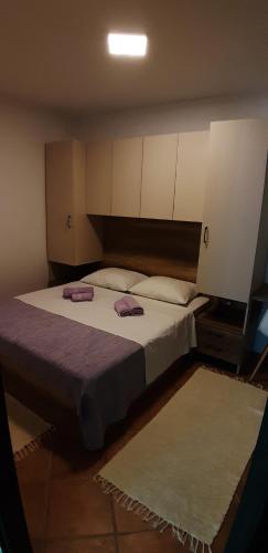 Apartman IN