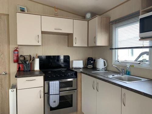 Η κουζίνα ή μικρή κουζίνα στο 6 Berth Park Dean Saltfleet Barneys Den