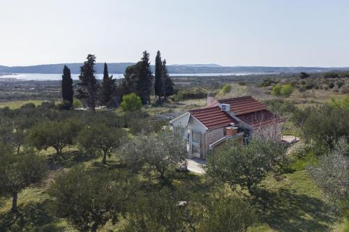 Foto Holiday home Olive 5
