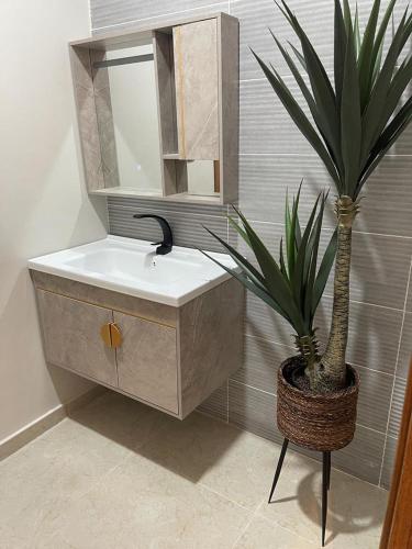a bathroom with a sink and a potted plant at أفخم شقة فندقيه بالقرب من الحرم المكي in Makkah