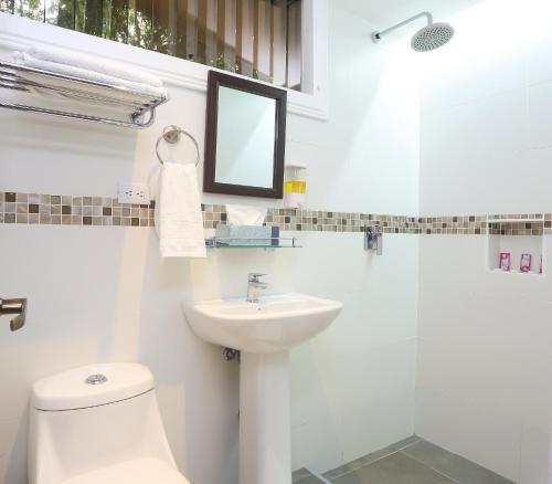 a bathroom with a sink and a toilet and a mirror at Horquetas River Lodge in Sarapiquí