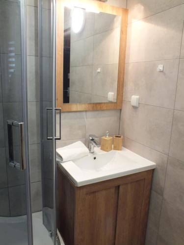 ein Bad mit einem Waschbecken, einem Spiegel und einer Dusche in der Unterkunft Słoneczne studio in Szczawnica