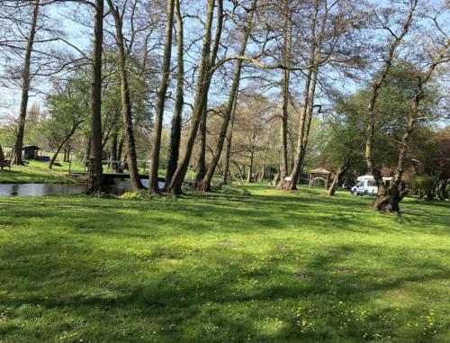 a park with trees and grass and a river at 17th-Century1Bed Studio PetsOk Garden Wifi in Elkesley