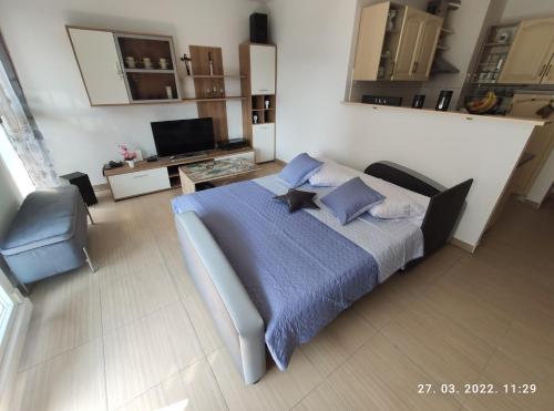 Apartman Antonela with FREE garage parking