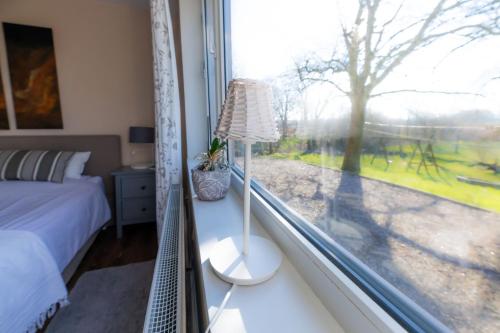 ein Schlafzimmer mit einem Fenster mit einem Bett und einer Lampe in der Unterkunft Pellwormer Jensenhof in Pellworm