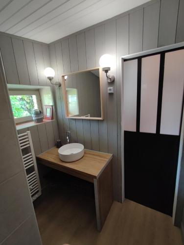 a bathroom with a sink and a mirror at Gîte Chêne Vert in Lolme