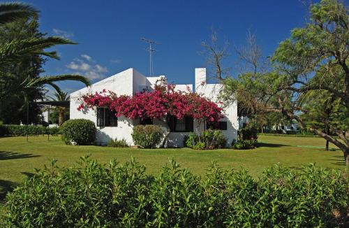 Uma casa branca com flores cor-de-rosa à frente. em Pedras Da Rainha em Cabanas de Tavira