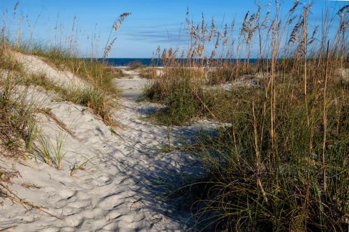 a sandy beach with tall grass and the ocean at St. Francis Inn - Saint Augustine in Saint Augustine