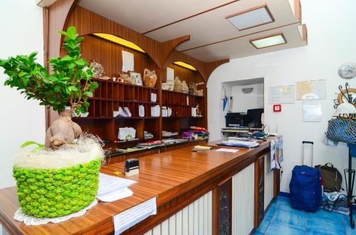 TV o dispositivi per l'intrattenimento presso Hotel Terme Marina