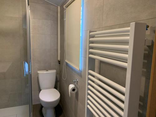 a small bathroom with a toilet and a shower at Kustverhuur, Groede, Paarlhof 17 in Groede