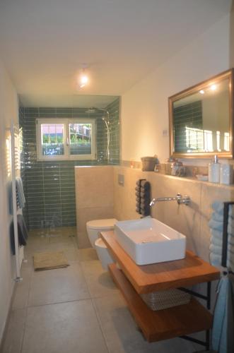 a bathroom with a sink and a toilet and a mirror at Casa Lario in Naggio