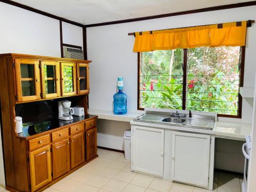 a kitchen with a sink and a window at Maya Mountain Lodge in San Ignacio
