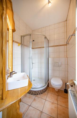 a bathroom with a sink and a shower and a toilet at Pension Bomätscher in Königstein an der Elbe