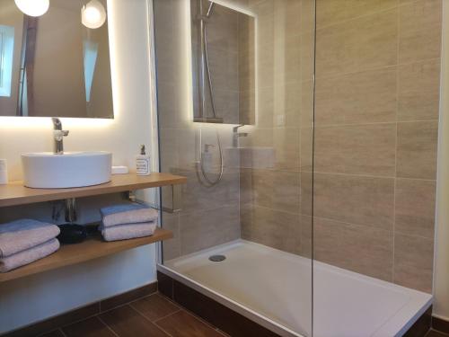 uma casa de banho com um chuveiro e um lavatório. em chambre SIXTIES em Lingèvres