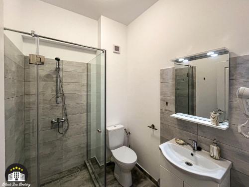 La salle de bains est pourvue d'une douche, de toilettes et d'un lavabo. dans l'établissement Black Sea Booking-London, à Mamaia Nord – Năvodari