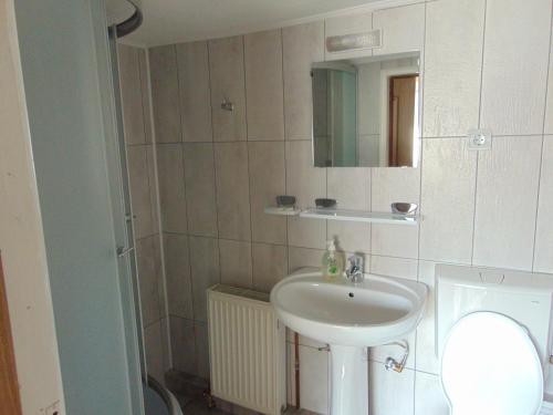 uma casa de banho com um lavatório e um espelho em Pensiunea Amo em Vălenii de Munte