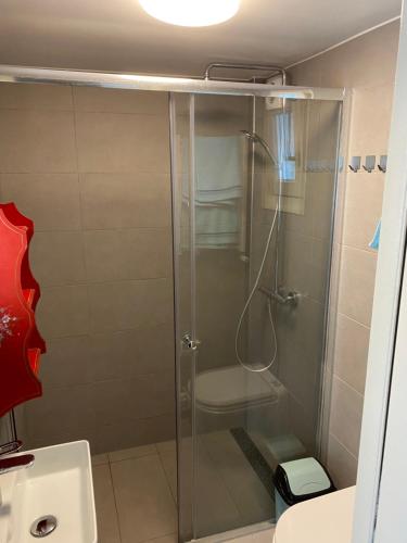 a shower with a glass door in a bathroom at Garden find zandvoort in Bentveld