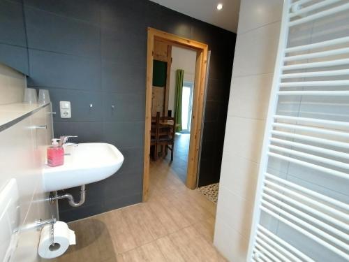 a bathroom with a white sink and a mirror at Campingplatz und Quartier am Treidlerweg in Königstein an der Elbe