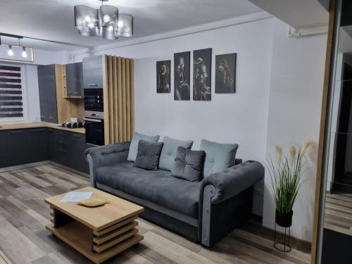 a living room with a couch and a table at Luxury Apartments in Bacău