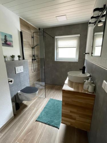 een badkamer met een wastafel, een toilet en een douche bij Schöne Ferienwohnung mitten im Pfälzerwaldgebiet in Leimen