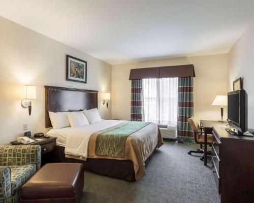 une chambre d'hôtel avec un lit et une télévision dans l'établissement Quality Inn Donaldsonville - Gonzales, à Donaldsonville