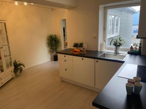 Kuchyň nebo kuchyňský kout v ubytování Romslig leilighet sentralt i Svolvær sentrum