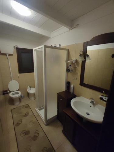 a bathroom with a shower and a sink and a toilet at Villa Indipendente Superior "Fanfan" con ampio Giardino e Piscina in Terlizzi