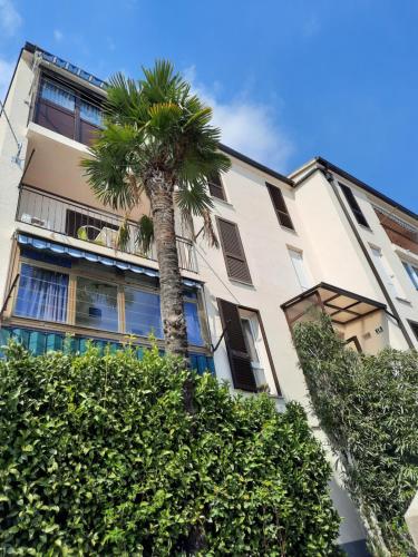 a palm tree in front of a building at MORABEZA Opatija in Opatija