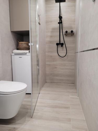a bathroom with a shower stall and a toilet at Apartament Portowy in Wilkasy
