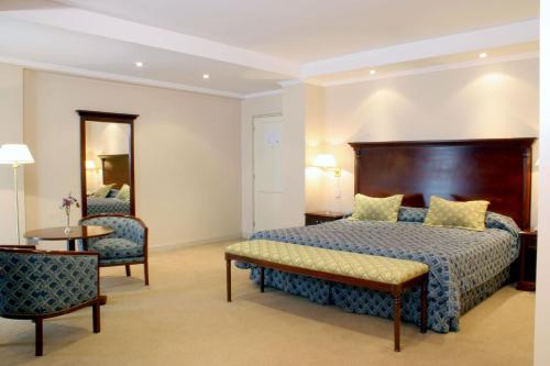 a bedroom with a bed and a chair and a mirror at Provincial Plaza Hotel in Salta