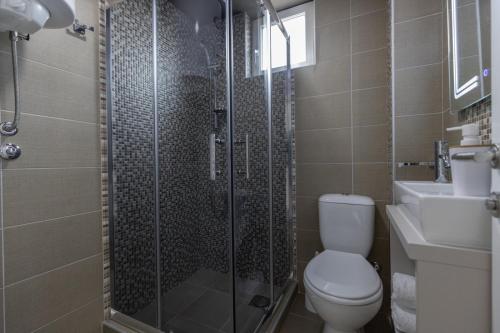 a bathroom with a shower and a toilet and a sink at Hany Sweet in Niš