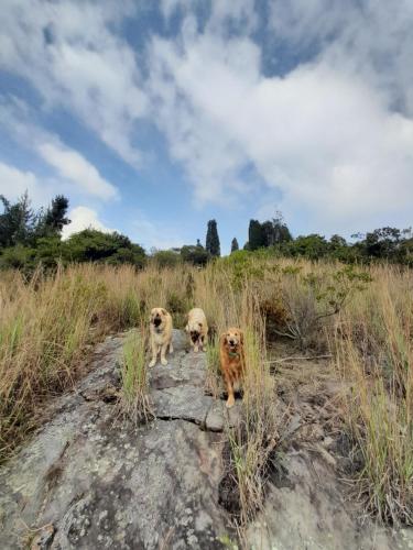 Gambar di galeri bagi El Chalet de El Refugio de la Loma di Tocancipá