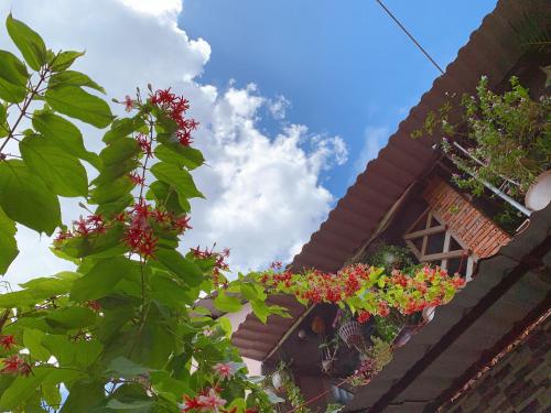 a plant with red flowers in front of a building at Khách sạn SAKÊ Tiền Giang in Chợ Gạo