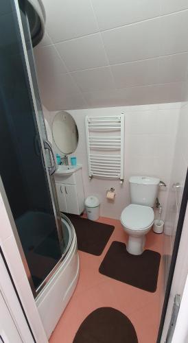 a small bathroom with a toilet and a shower at Hotel Konus in Făleşti