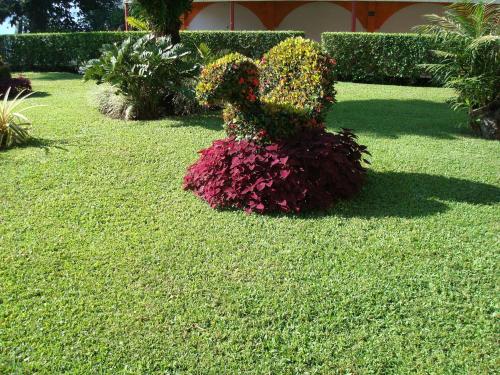 a plant shaped like a dog sitting in a bed of flowers at Hotel Playa Azul in Catemaco