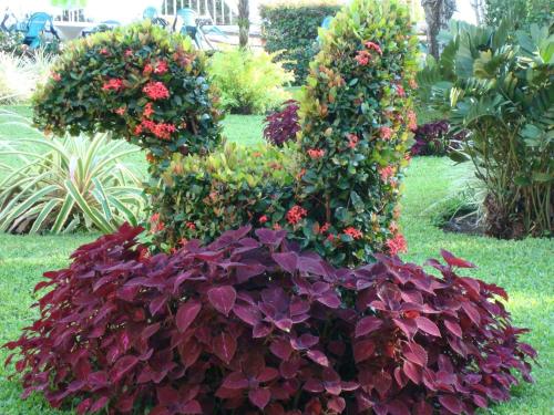 a display of flowers in the shape of the letter k at Hotel Playa Azul in Catemaco
