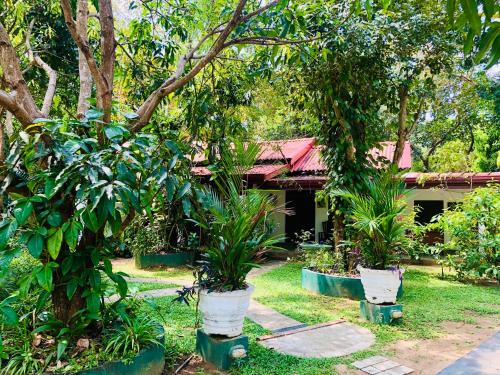 a house with three potted plants in front of it at Bangalawa Resort in Habarana