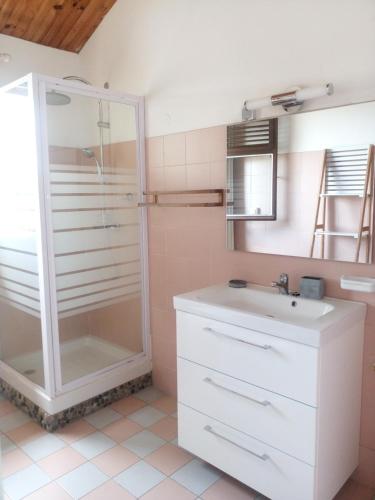 a bathroom with a shower and a sink at La belle Mullane in Le Diamant